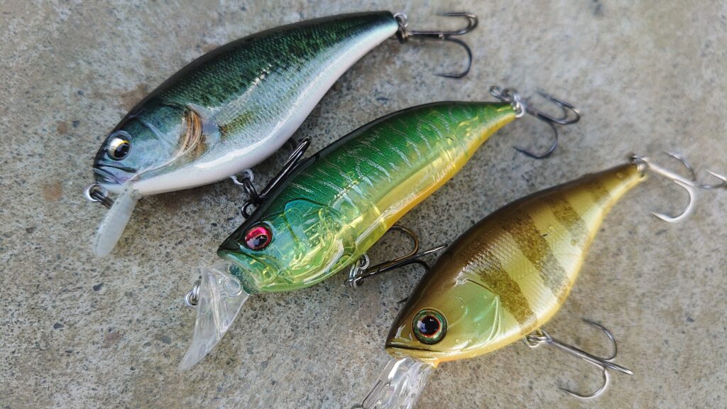 IxI SHAD TYPE-R│MEGA-BU.COM