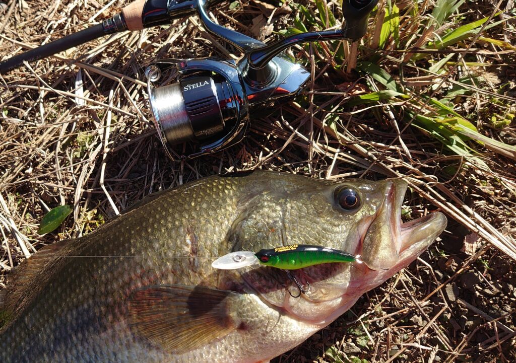 F1.1/2-72XS | Megabass-メガバス
