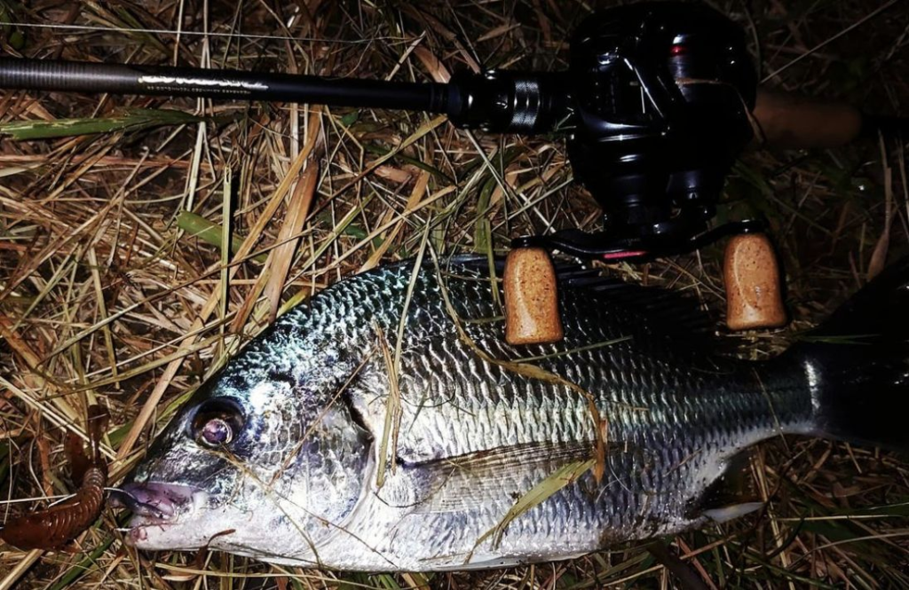 F3-610X 飛燕 Bait Finesse│MEGA-BU.COM
